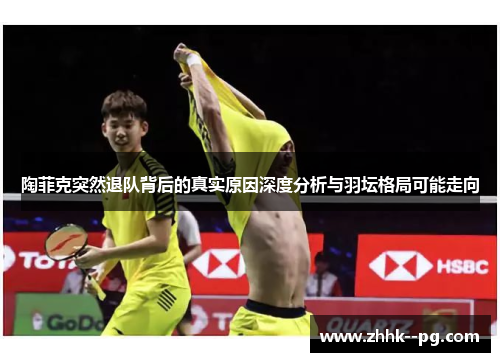 陶菲克突然退队背后的真实原因深度分析与羽坛格局可能走向